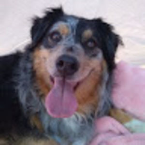 Meet your Posher, Tia